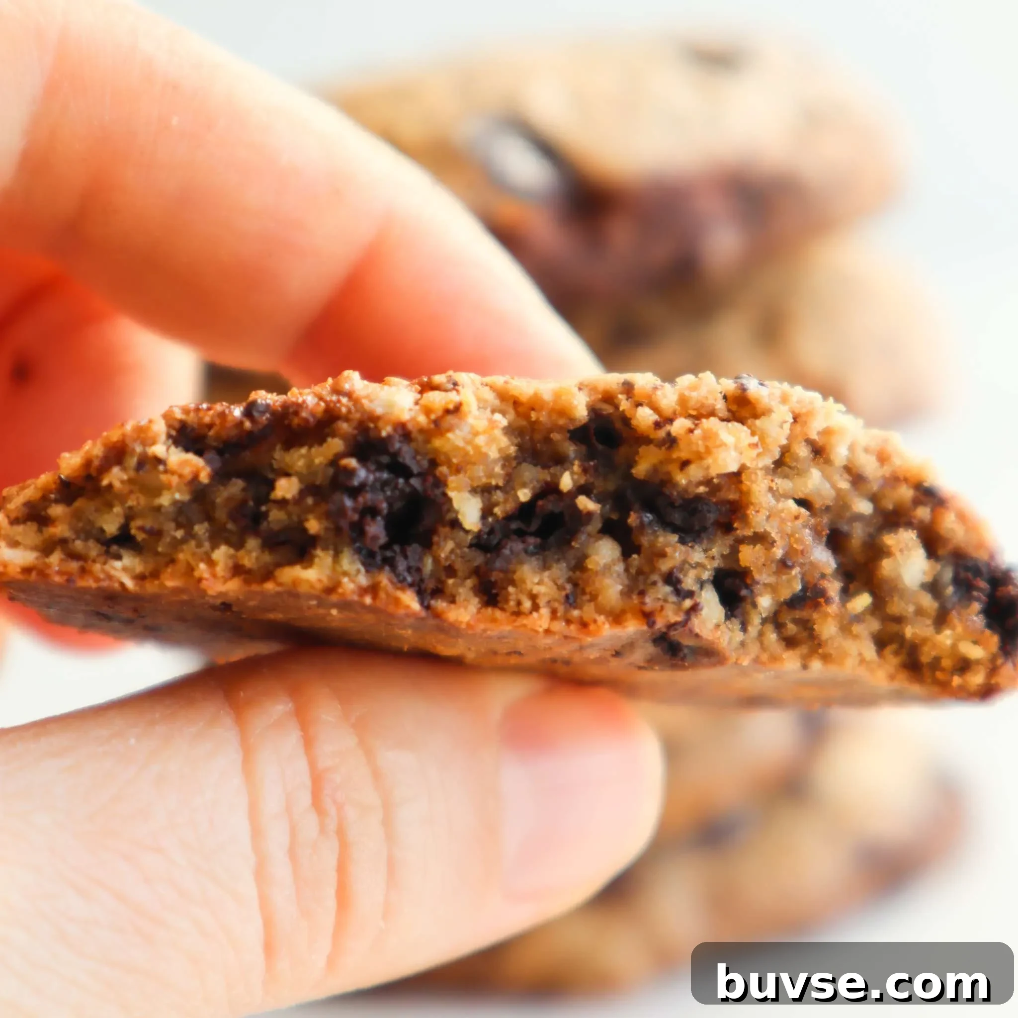Learn how to make oatmeal cookies from scratch with this easy and healthy flourless oatmeal cookie recipe! To make these healthy cookies we’ll use gluten free oats, coconut sugar, an egg, coconut oil, some baking soda and some chocolate chips! Soft and chewy, kids love these - as a treat, or a healthy snack! These are seriously the best homemade oatmeal chocolate chip cookies!