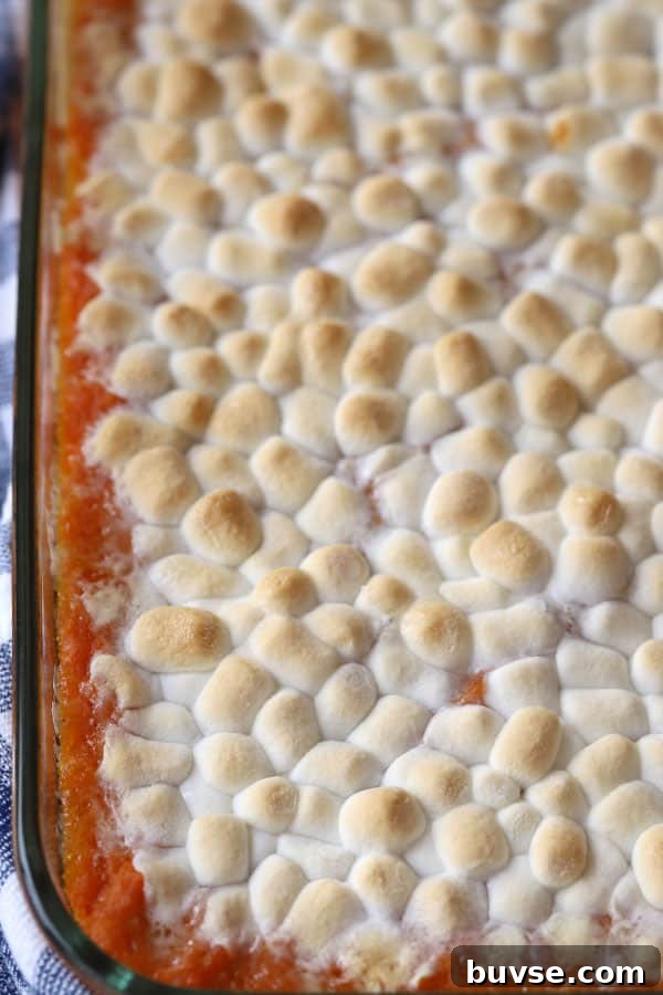 Sweet Potato Casserole with Toasted Marshmallows Recipe 2 A baking dish with sweet potato casserole with marshmallows on top.