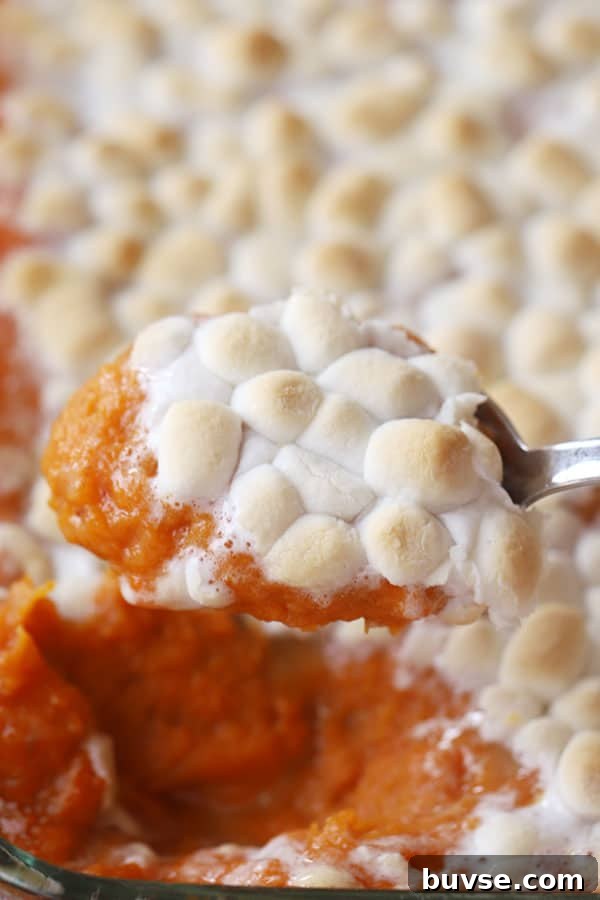 Sweet Potato Casserole with Toasted Marshmallows Recipe 4 A spoon scooping up mashed sweet potatoes with marshmallows.
