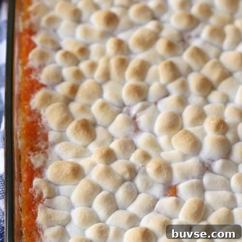 Sweet Potato Casserole with Toasted Marshmallows Recipe 5 Sweet Potato Casserole in a glass baking dish, covered with marshmallows.