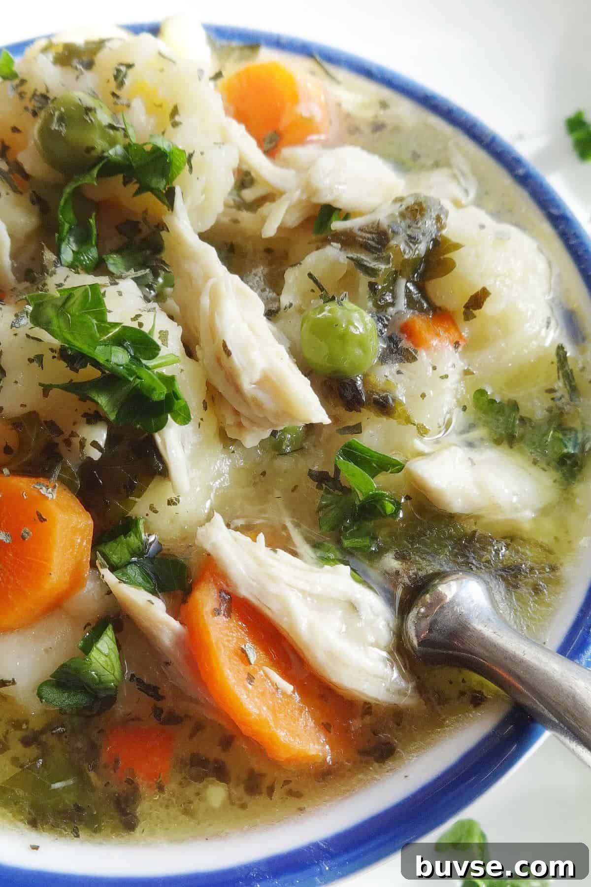 Bowl of Southern chicken and dumplings